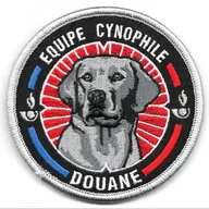 Douane - équipe cynophile -Labrador Noir 