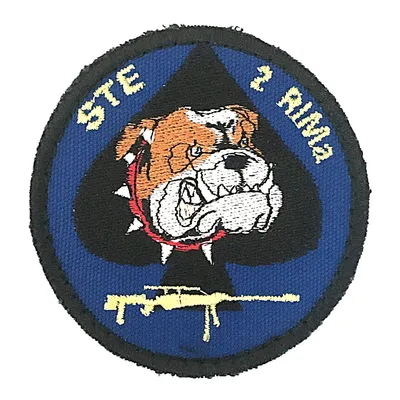 2e Régiment d'Infanterie de Marine - Compagnie d'Eclairage et d'Appui - STE