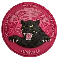 PSIG Lunéville - Octobre Rose 2026