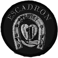 4ème Régiment de Chasseurs - 1er Escadron