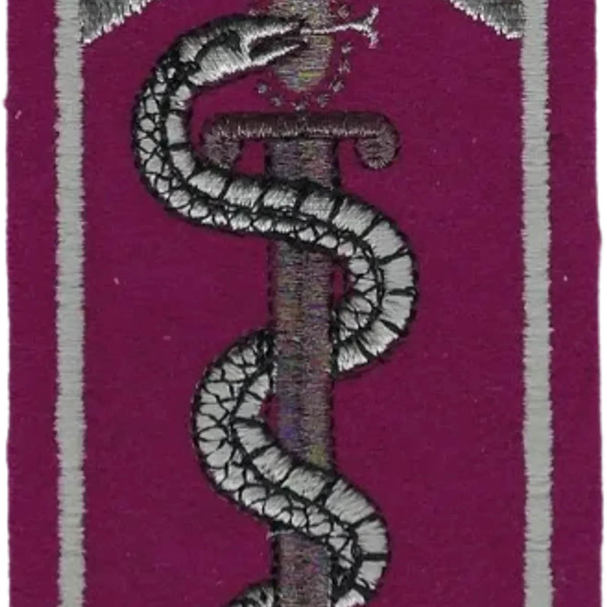 SSA : ESOSSA Ecole des Sous-Officiers du SSA Orléans Cadre argenté et serpent argenté, épée dorée