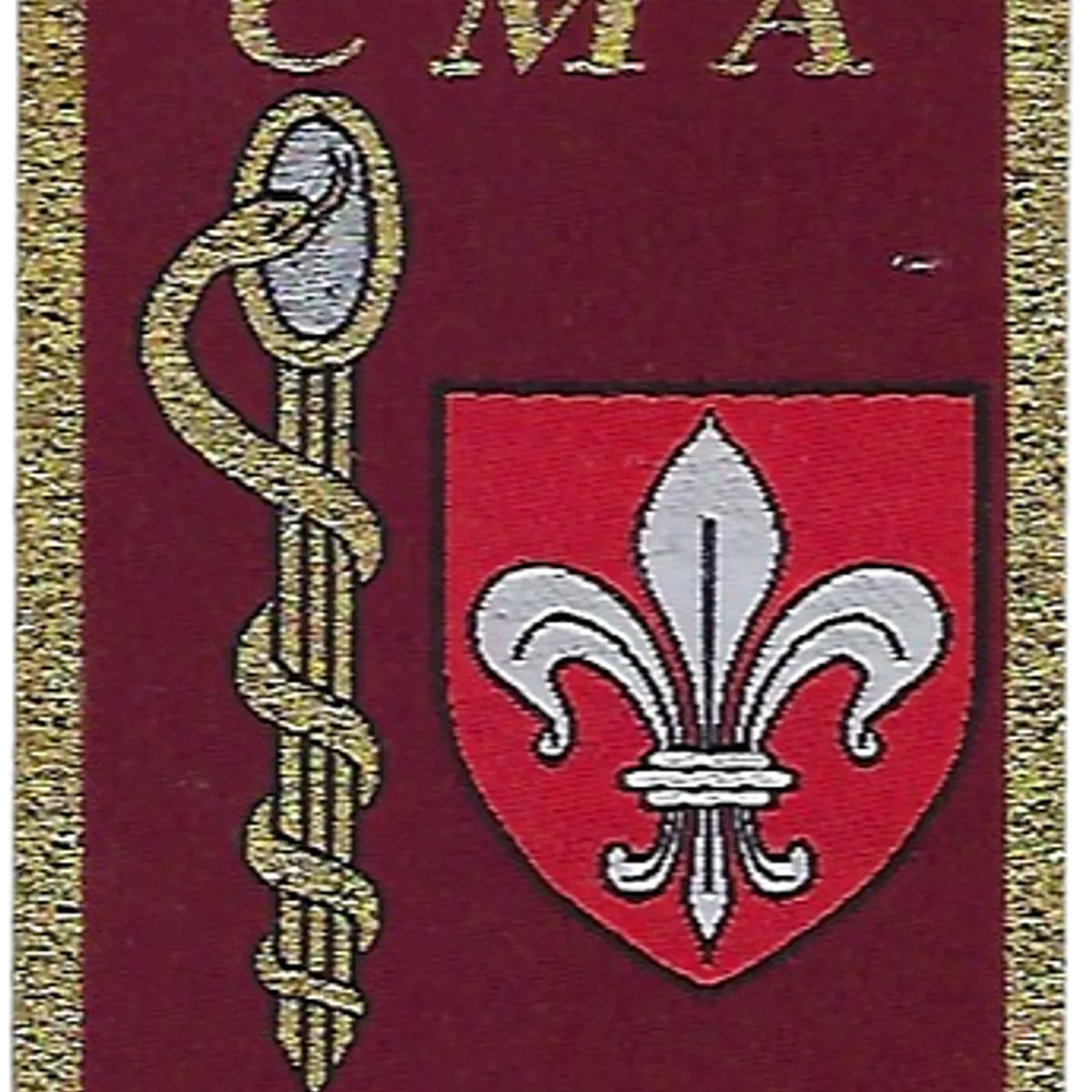 SSA : CMA Lille (3ème CMA) Type II
