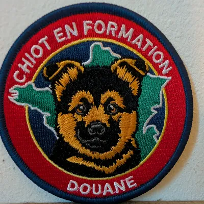 Chiot en formation