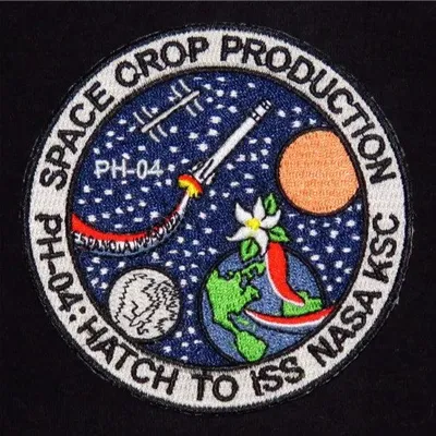 ISS-65 PH-04