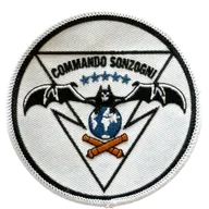 GCP 35ème RAP - Commando Sonzogni
