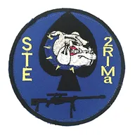 2e Régiment d'Infanterie de Marine - Compagnie d'Eclairage et d'Appui - STE