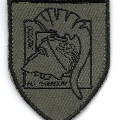 EFCA -  Escadron de Formation des Commandos de l'Air