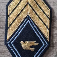 Losange Colombophile / 2 soutaches / Sergent Chef 