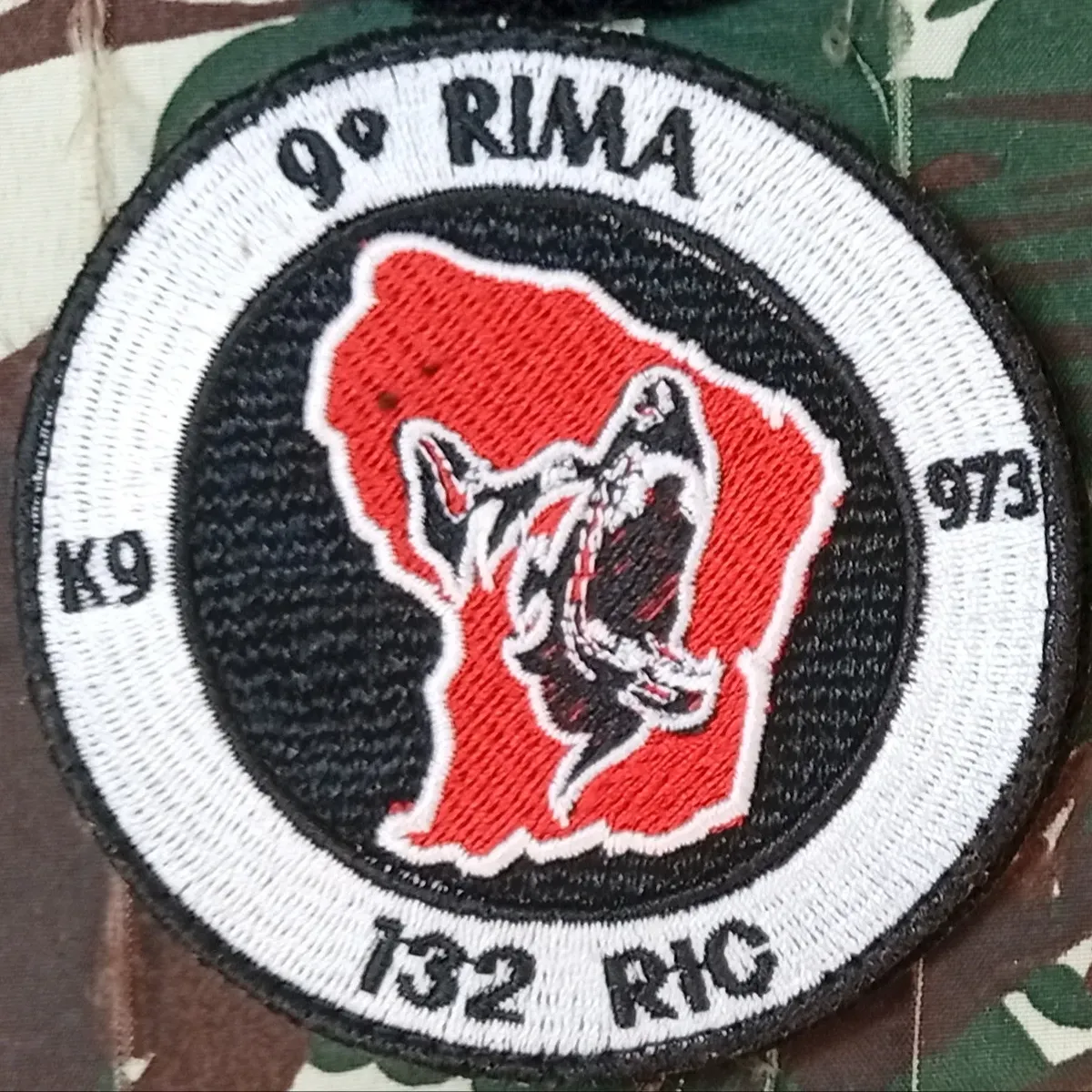 9e RIMa - 132 RIC - K9