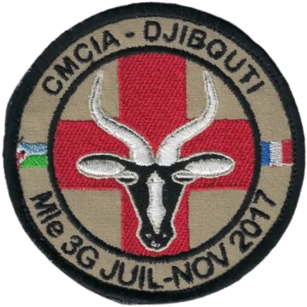 SSA : CMCIA Djibouti Module 3G Juil-Nov 2017