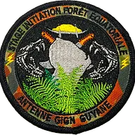 Écusson AGIGN Guyane Stage Forêt 