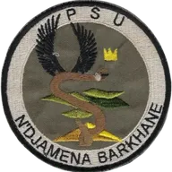 SSA : PSU N'Djamena