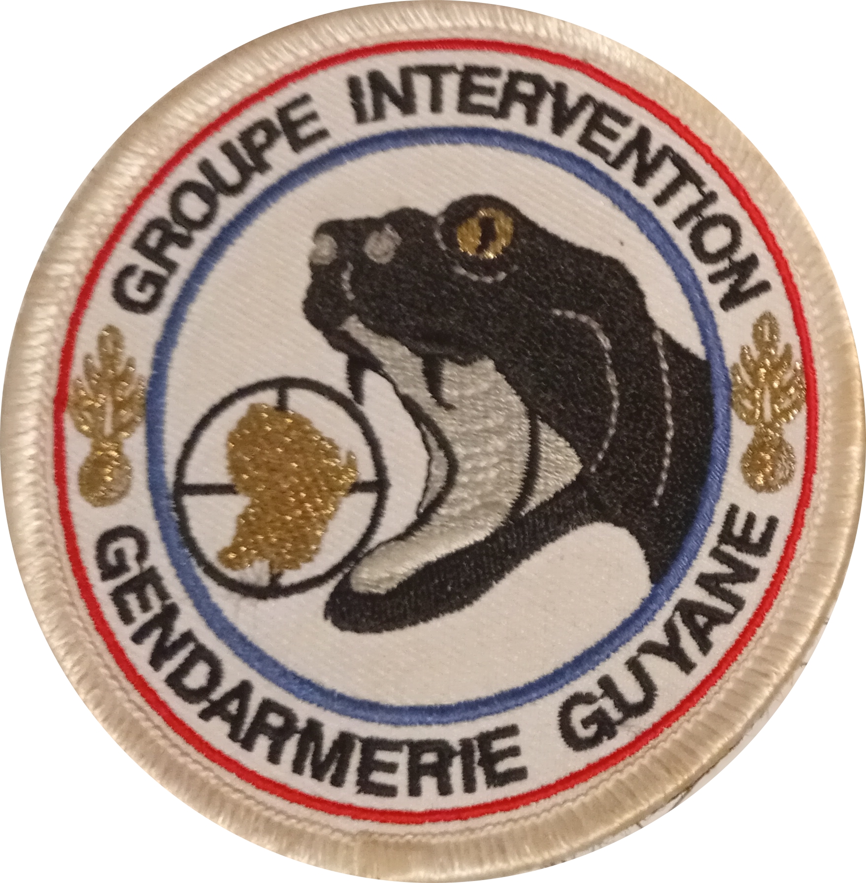 Groupe Intervention Guyane
