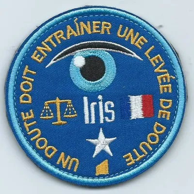 Référent logiciel IRIS