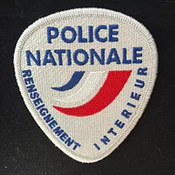 Insigne renseignement intérieur 