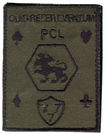 501ème Régiment de Chars de Combat - 6ème Escadron - Peloton de Commandement et de Logistique