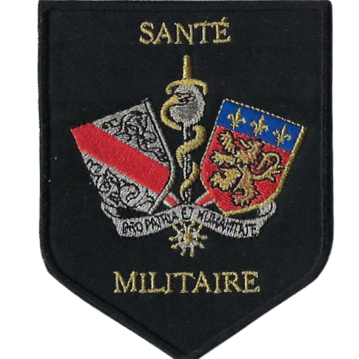 SSA : ESSA Lyon "Santé Militaire"