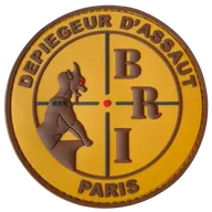 BRI-PP - Dépiégeur d'Assaut 
