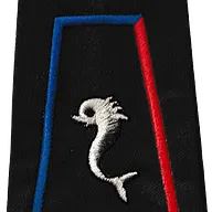 Passant d'épaule du 12ème Régiment de Cuirassiers - 5ème Escadron