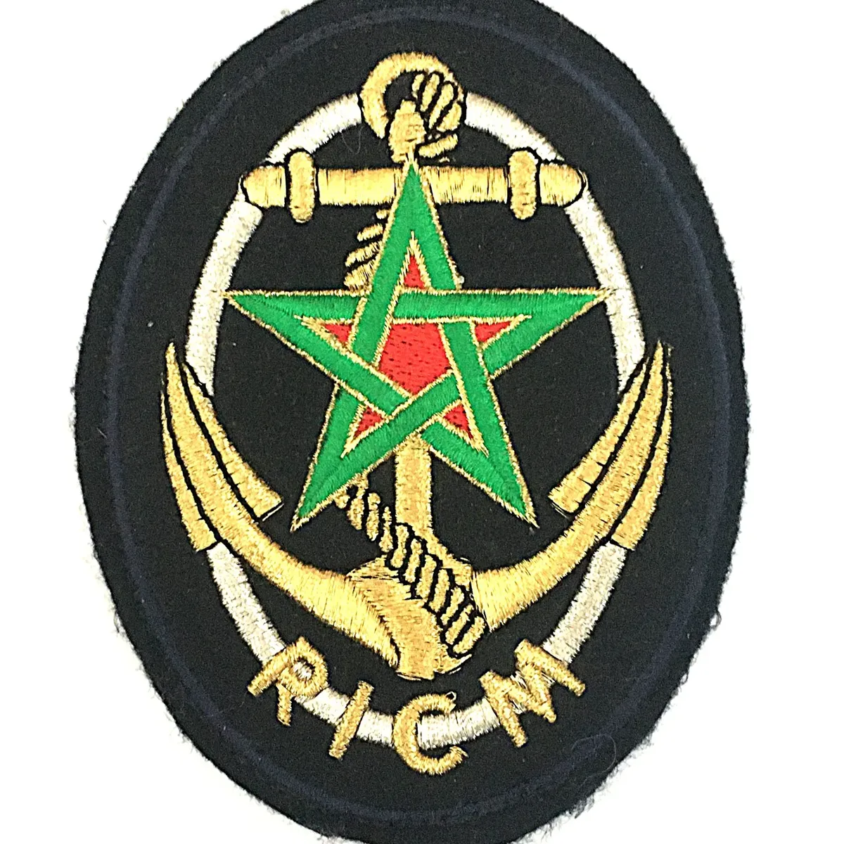 Régiment d'Infanterie Chars de Marine
