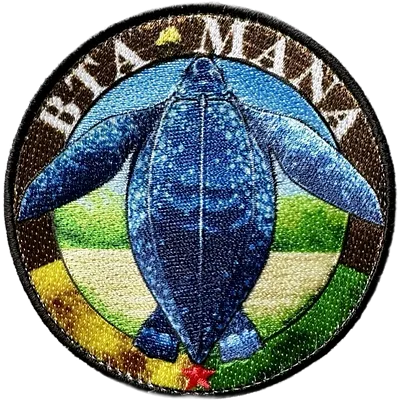 BTA Mana