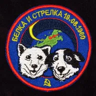 Spoutnik-5 Belka Strelka