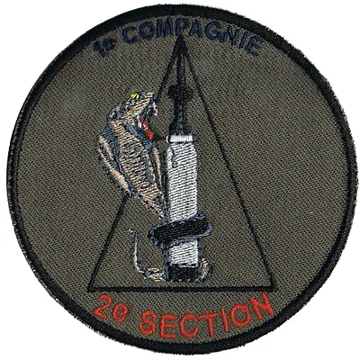 Groupe d'Escadrons 501° Régiment de Chars de Combat - 1° Compagnie - 2° Section