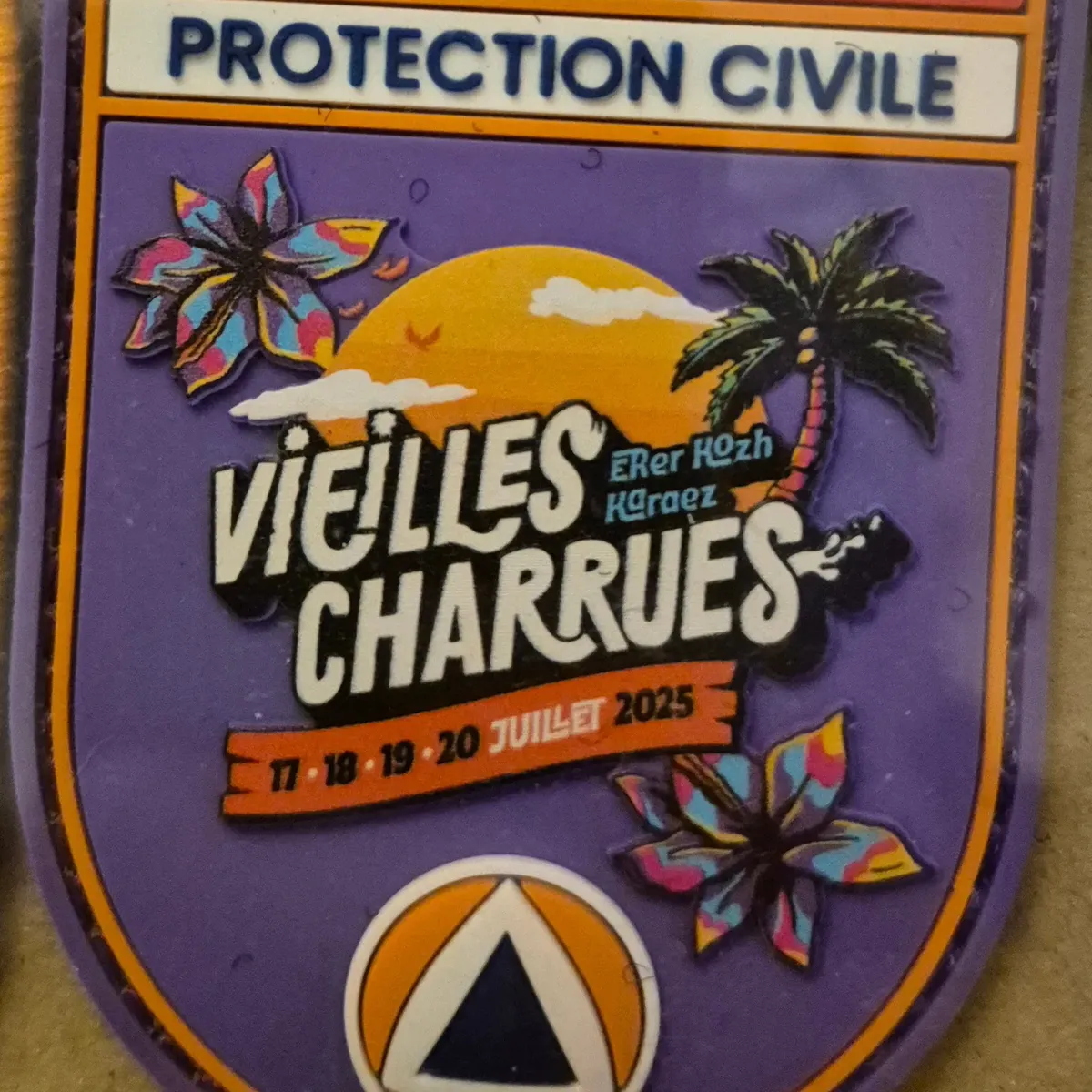 Protection Civile Vielles Charrues 2025 (FNPC)
