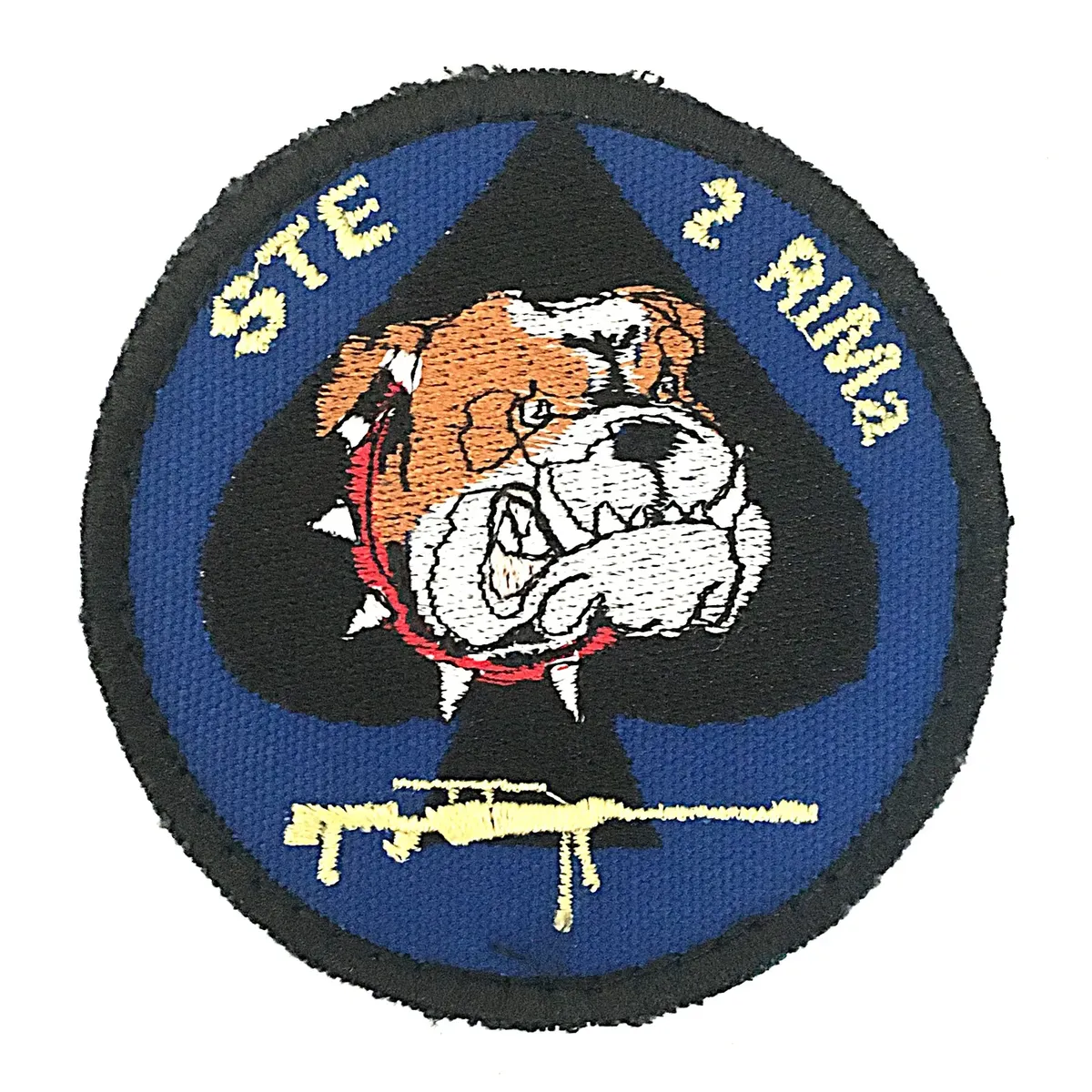 2e Régiment d'Infanterie de Marine - Compagnie d'Eclairage et d'Appui - STE