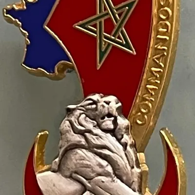 Commandos d'Afrique, 3e Bat de l'ESM Saint-Cyr