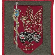 SSA : Régiment Médical Félin type 1 2ème CMC