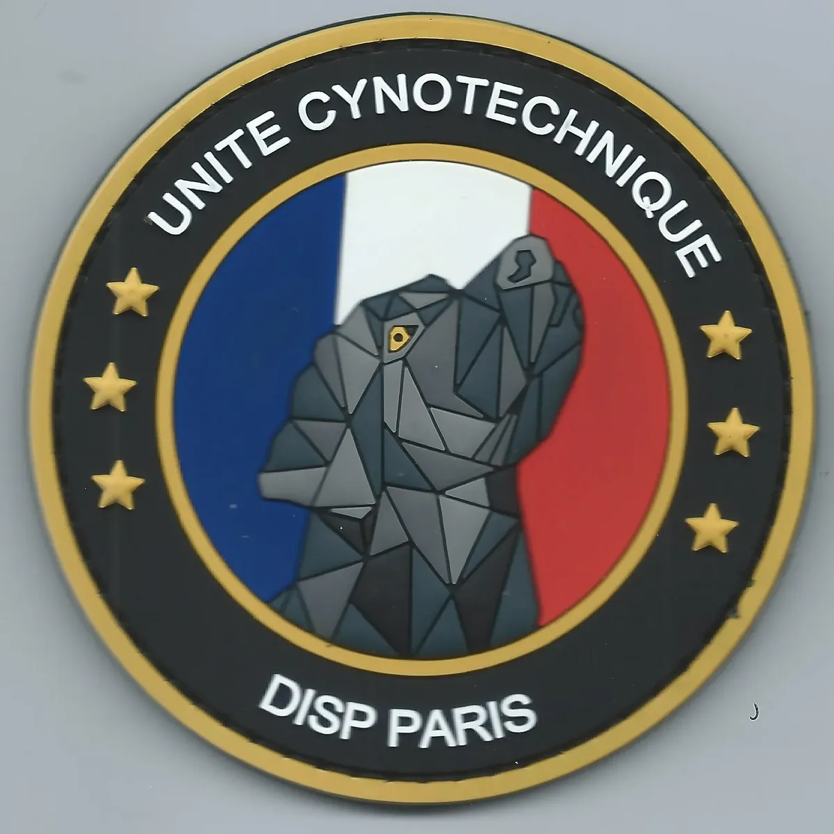 Cynotechnie pénitentiaire - DISP - Paris