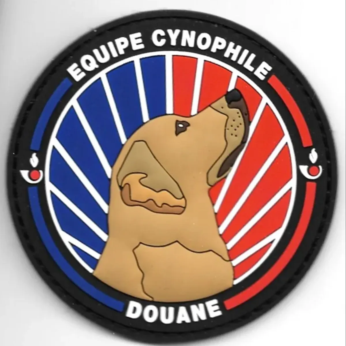 Douane - équipe cynophile  - Labrador Marron
