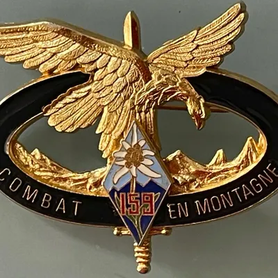 159e RI, Centre National Combat Montagne CNCM