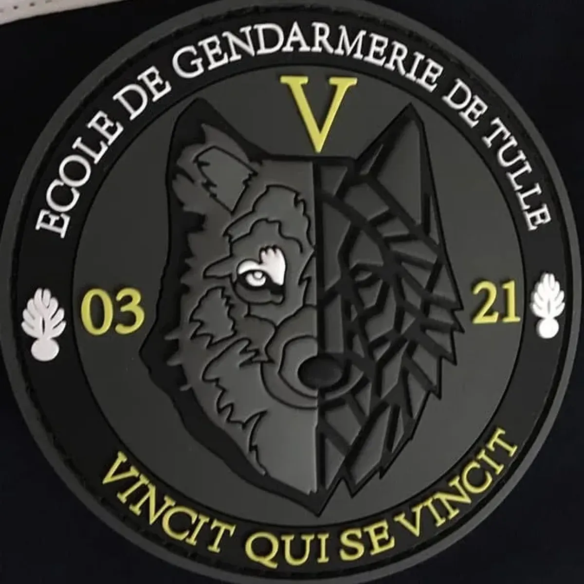 EGAV Tulle - Promotion 03/21