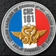 Patch nageurs de combat