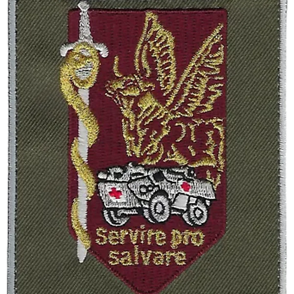SSA : Régiment Médical Félin type 2 CCL