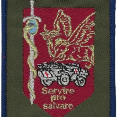 SSA : Régiment Médical Félin type 3 1ère CMC