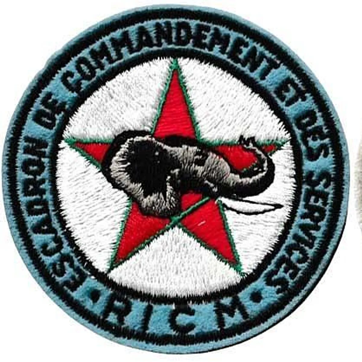 Régiment d'Infanterie Chars de Marine - Escadron de Commandement et des Services