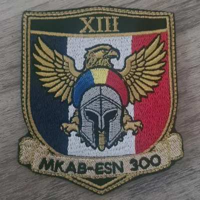 AIGLE / ESN 300 / XIIIe Mandat