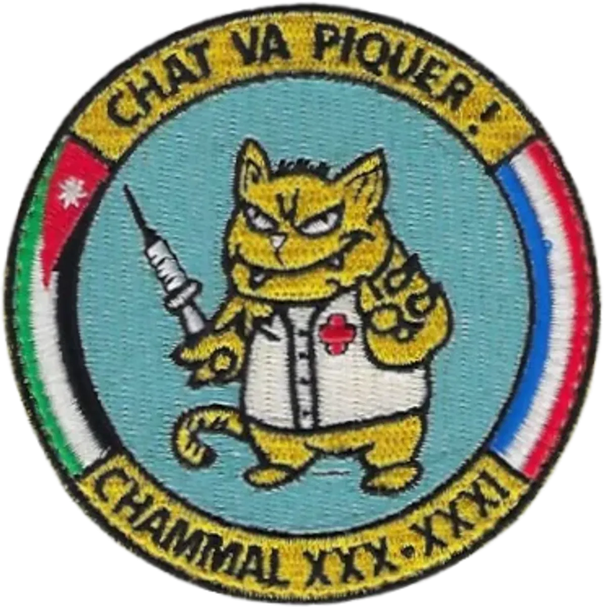 SSA : CHAMMAL 30-31 "CHAT VA PIQUER"