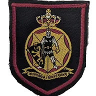 Insigne corps de la Protection civile