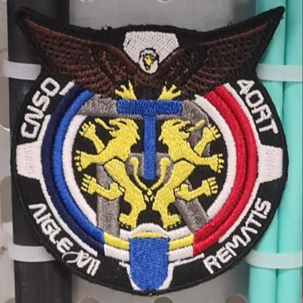 Aigle VII / Renfort CNSO + 40e RT