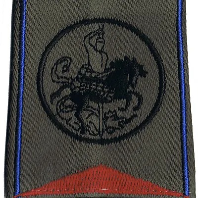 Passant d'épaule du Groupe d'Escadrons 2ème Régiment de Chasseurs - 1er Escadron (V1)