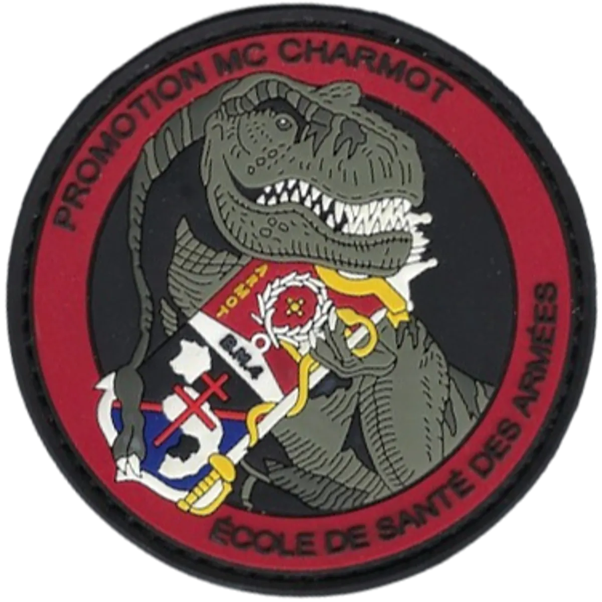 SSA : ESA Lyon Bron Promotion 2019 CHARMOT V2