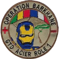 SSA : GTD Acier Role 1