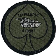 1er Régiment de Chasseurs - 2ème Escadron - 1er Peloton (BV)