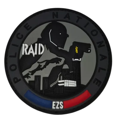 RAID - EZS