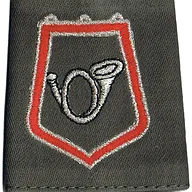 Passant d'épaule du 1er-2ème Régiment de Chasseurs - Etat-Major