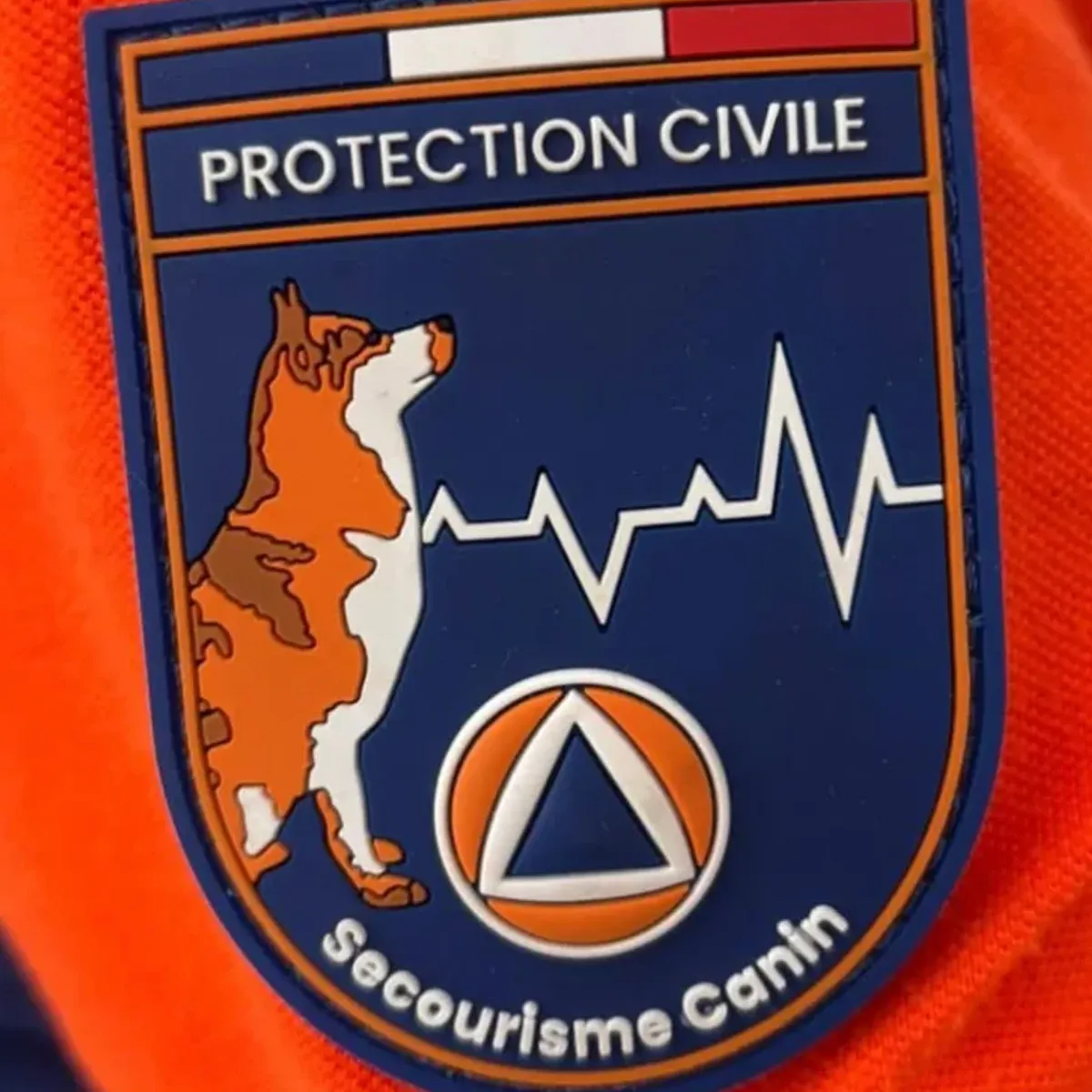 Protection Civile - Secourisme Canin